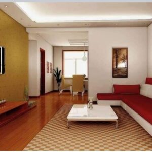 Contemporary House with a Simple Layout